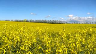 Gustav Winckler  En Ærlig Kærlig Særlig Herlig Sommer [upl. by Nnaitak]