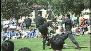 Masters Bujinkan shows techniques ninpo taijutsu 2 [upl. by Yellas872]