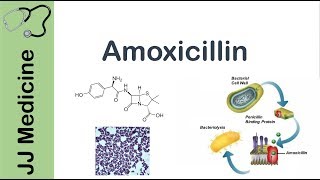 Amoxicillin  Bacterial Targets Mechanism of Action Adverse Effects  Antibiotic Lesson [upl. by Sage]