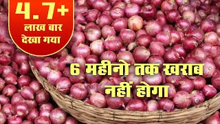 Storage of onion  इस तरह प्याज को स्टोर करेंगे तो 6 महिने तक खराब नहीं होगा I प्याज का भंडारण [upl. by Bibeau]