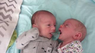 NEWBORN TWIN PACIFIER FIGHT [upl. by Jehoash29]