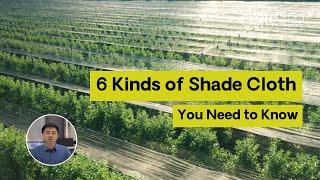 6 Kinds of Shade Cloth You Need to Know [upl. by Sheepshanks]