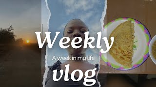 Weekly vlog12 hour shift week living alone cooking cleaning [upl. by Pandich]