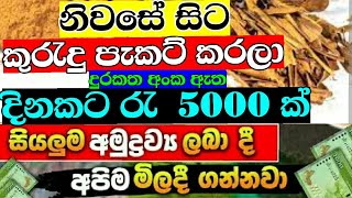 දිනකට රැ 5000 ක් හොයන්න  swayan rakiya at home 2023  earn money online sinhala  swyan rakiya [upl. by Elidad105]