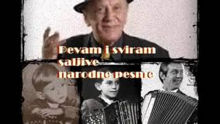 TOZOVAC JOJ LULE MOJE  quotPevam i sviram saljive narodne pesmequot [upl. by Blinnie434]