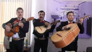 El Nuevo Trio Del Sol  Mariachi Trio in Phoenix Az Video 3 [upl. by Cesaria]