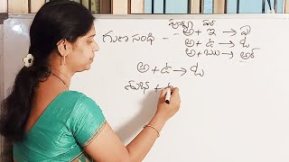 గుణ సంధి  Guna sandhi  Telugu Grammar [upl. by Ellebasi870]