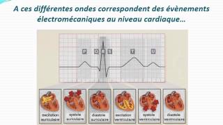 ECG L’ECG normal [upl. by Arriaes]