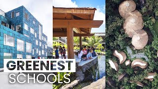 The Most EcoFriendly Schools  Green Schools Around the World [upl. by Kahcztiy]