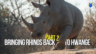 Bringing Rhinos Back to Hwange Part 2 with Mark ‘Butch’ Butcher Ep 183 [upl. by Ayrolg899]