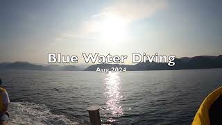 Blue Water Diving Aug 2024 [upl. by Ecneitap222]