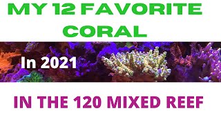 MY 12 FAVORITE CORAL  IN 2021  IN THE 120 GALLON MIXED REEF [upl. by Jarvis]