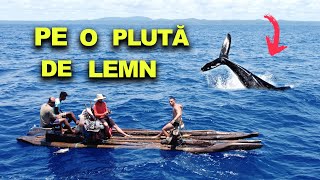 La pescuit de BALENE în OCEANUL ATLANTIC vlog documentar Brazilia [upl. by Stolzer487]