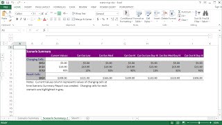 How to Use Excel Scenario Manager [upl. by Ramso]