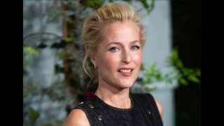 Gillian Anderson takes brutal aim as she is mistaken for Conservative MP during Election [upl. by Einnol165]