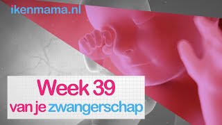 39 weken zwanger  ikenmamanl [upl. by Dominy]