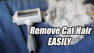 How to Remove Cat hair from Furniture  Furminator Hair Collection Tool Roller [upl. by Bernice959]