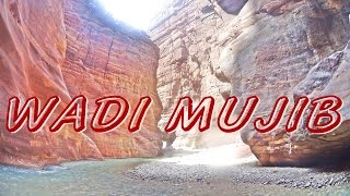 Wadi Mujib Siq Trail [upl. by Myrlene961]