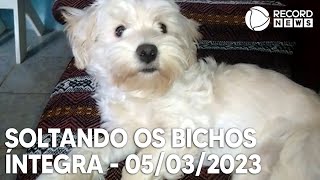 Soltando os Bichos  05032023 [upl. by Niotna]