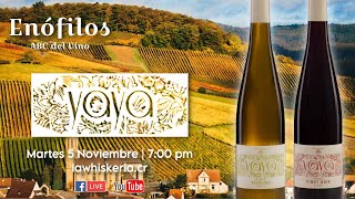 Enófilos ABC del Vino presenta quotYaya Riesling y Yaya Pinot Noirquot [upl. by Debo289]