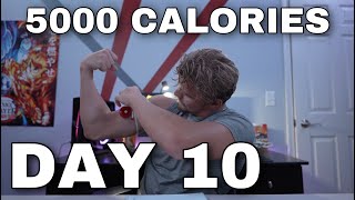 Eating 5000 Calories Day 10  Gained 3 Pounds [upl. by Ahsirtal]