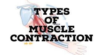 Types of muscle contraction [upl. by Ahsiemat]