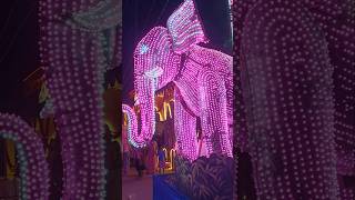 Elephant crying very very nice [upl. by Liederman]