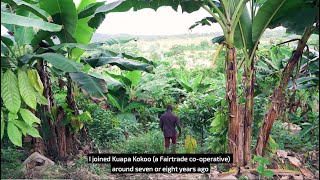 Farming for the Future Hear from 3 West African Cocoa Farmers [upl. by Grange]