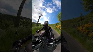 KTM 1290 Super Adventure  Flowers amp Clouds 2024 shorts [upl. by Donnie]