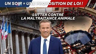 Lutter contre la maltraitance animale [upl. by Trellas513]