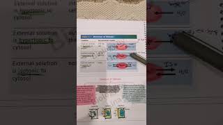 hypertonic and hypotonic biologypoli11biologygrade11 [upl. by Nomaid]