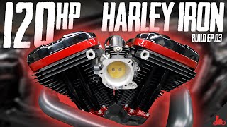 Harley Iron 883 to 1275 Build Ep 03 [upl. by Ahsekad]