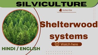 Shelterwood system  silviculturescoringscience4120 [upl. by Amari]