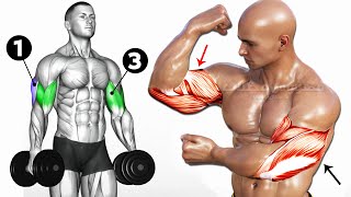 GET BIG ARMS FAST   8 BEST EXCESESE HUGE ARMS [upl. by Rehsa]