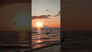 New Beginning motivational quotes viralvideo shorts youtubeshorts shortvideo quotes [upl. by Amir]