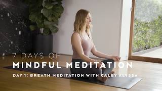 DAY 1 Breath Meditation Technique with Caley Alyssa — 7 Days of Mindful Meditation [upl. by Adnarahs]