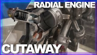 INSIDE LOOK How a Radial Engine Works AMAZING Cutaway in Motion [upl. by Anayhd]