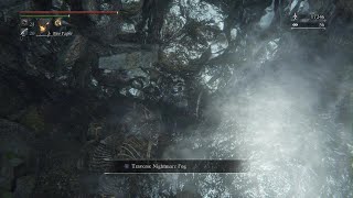 Entering shadows of yharnam without activating them [upl. by Imef]