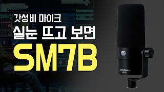 갓성비 마이크 추천 PreSonus PD70 [upl. by Orozco]