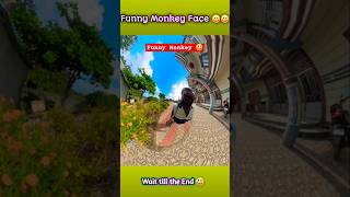 😀 Funny Monkey Face 😀 Wait till the End😃 funny [upl. by Adav]