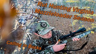 Rut Hunting Virginia Muzzleloader Season DEER EVERYWHERE Grunting In Bucks [upl. by Enorej470]