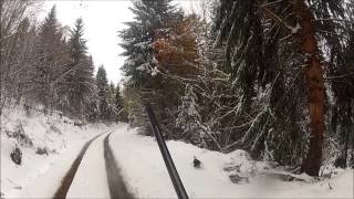 battue au sanglier dans la neige saison 20132014 tir dun sanglier wild boar hunting go pro hd [upl. by Nrehtak710]