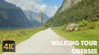 Obersee Walking Tour Breathtaking Views You Cant Miss [upl. by Hsihsa277]