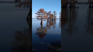 Reelfoot Lake history podcast ReelfootLake TenneseeTourim wildliferefuge [upl. by Oniliuqnart]