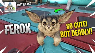 How To Tame A Ferox On ARK Lost island Cutest but DEADLIEST Creature In The Game [upl. by Dillon]