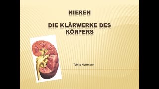 Die Niere leicht erklärt Einfach erklärt Niereninsuffiziens Dialyse Nierenkrankheiten [upl. by Yamauchi]