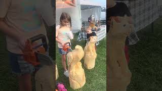 Kids Carving with quotChainsawsquot at the Hookstown Fair [upl. by Notgnihsaw]