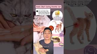 DOSIS OBAT CACING KUCING DRONTAL CAT UNTUK KITTEN DAN KUCING DEWASA dhyonleecat kucing [upl. by Nesrac299]