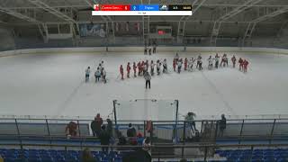 Crvena Zvezda  Triglav 16112024 IHL liga [upl. by Tenrag]