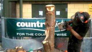 owl chainsaw carving [upl. by Ameg]